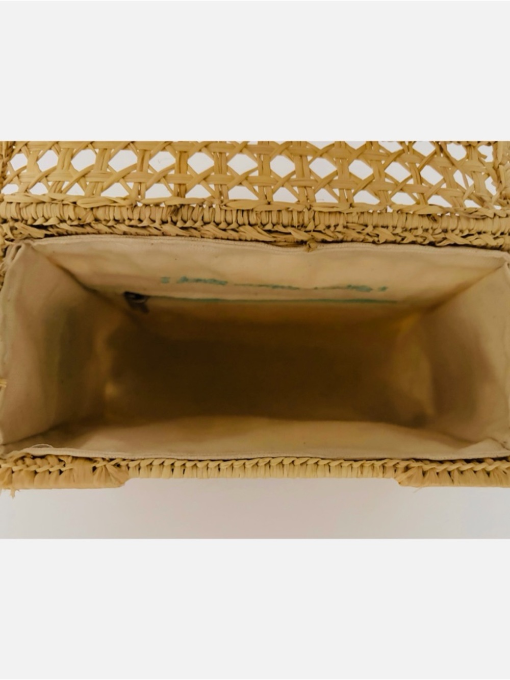 MERCEDES SALAZAR The Leafy Pink Raffia Bag - Picture 5 of 9